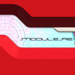 .:MODULE_RE-LOCK:. Project